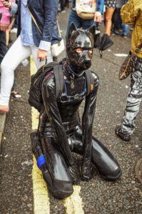 hund latex anzug bdsm schwarz
